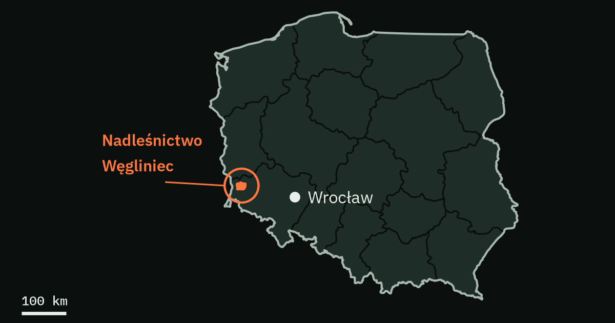 Map of Poland with Nadleśnictwo Węgliniec marked west of Wrocław